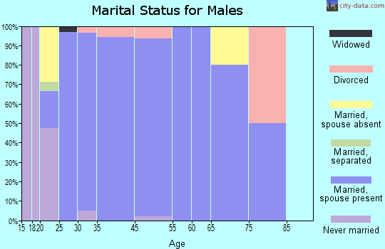 Hildale marital status for males