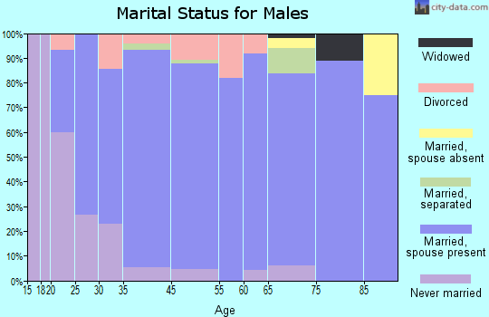 Honeyville marital status for males