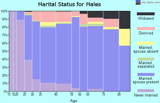 Hueytown marital status for males