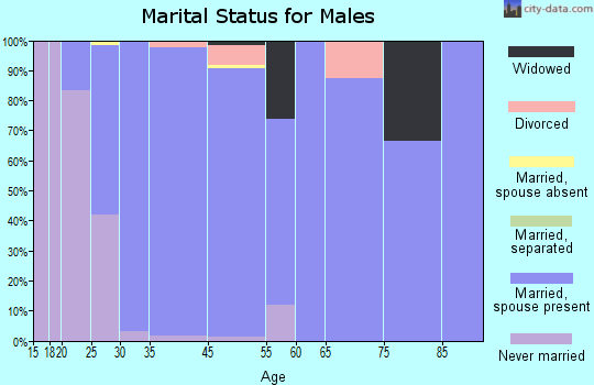 Hyde Park marital status for males