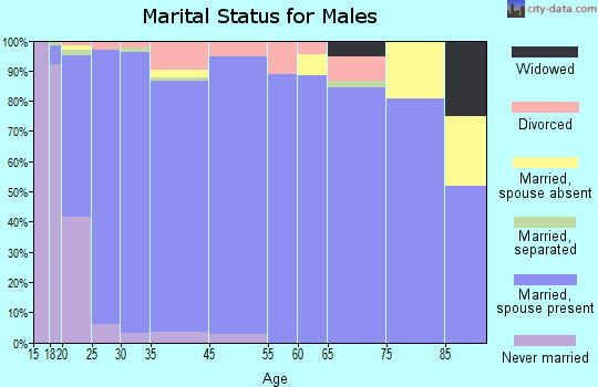 Lehi marital status for males