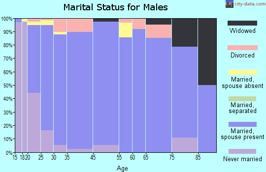 Lewiston marital status for males