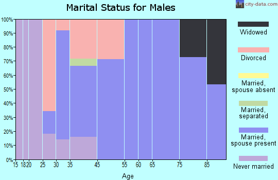 Marriott-Slaterville marital status for males