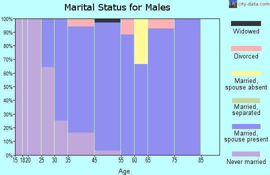 Oak Park marital status for males