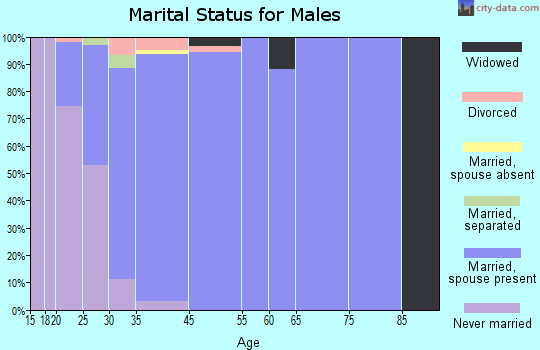 North Logan marital status for males