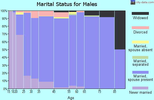 North Ogden marital status for males
