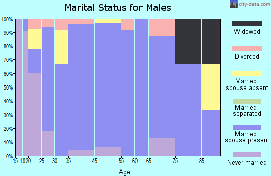Paradise marital status for males