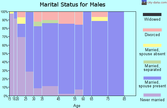Pleasant View marital status for males