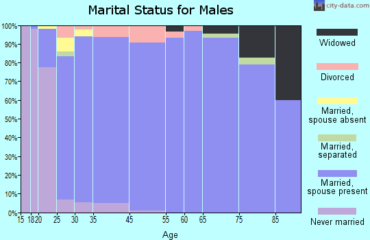 Salem marital status for males