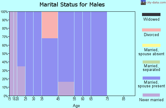 Saratoga Springs marital status for males
