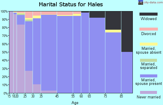 South Jordan marital status for males