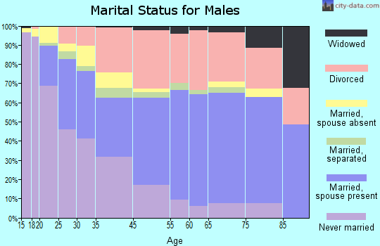 South Salt Lake marital status for males