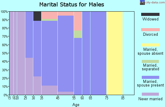 South Snyderville Basin marital status for males