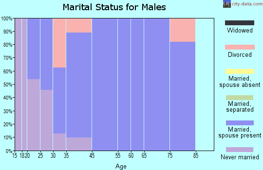 South Willard marital status for males