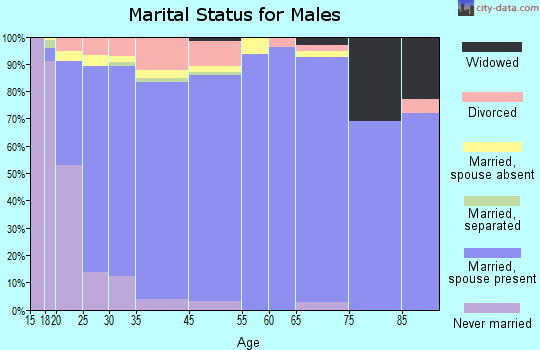 Spanish Fork marital status for males
