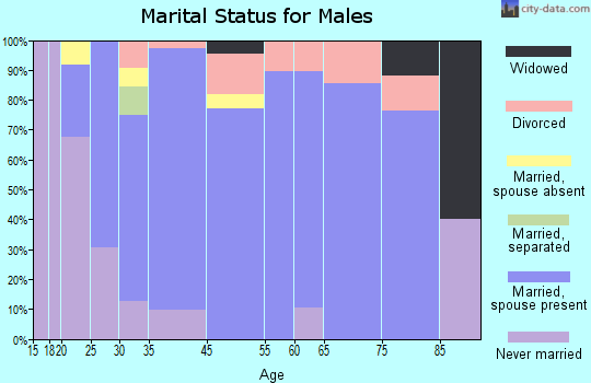 Spring City marital status for males