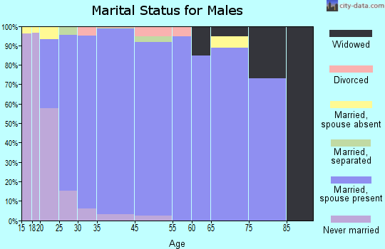 Syracuse marital status for males