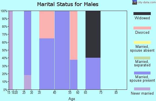 Timber Lakes marital status for males