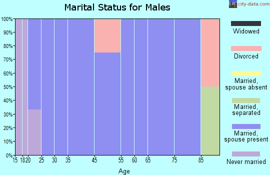 Wales marital status for males