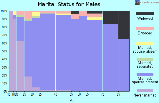 Wellsville marital status for males