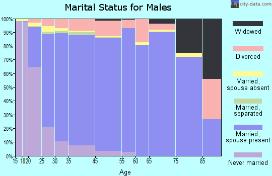 West Jordan marital status for males
