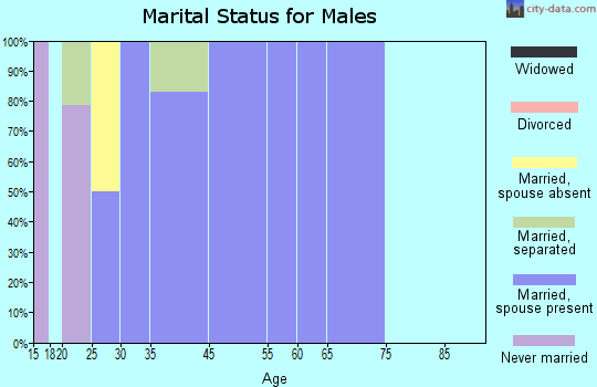 West Mountain marital status for males