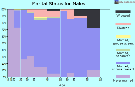 White City marital status for males