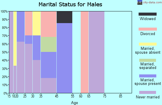 White Mesa marital status for males