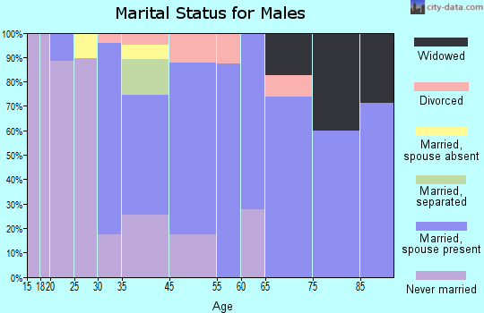 Arlington marital status for males