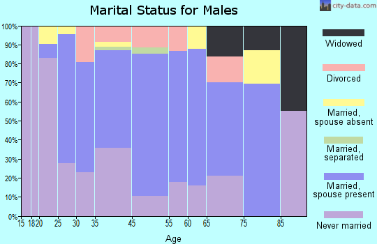 Bellows Falls marital status for males