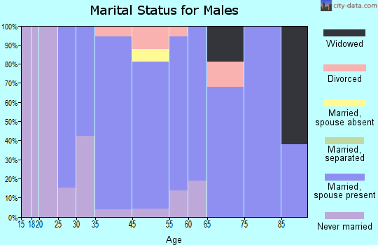 Brandon marital status for males