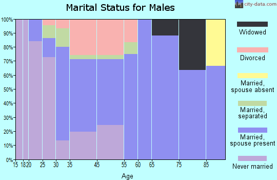 Chester-Chester Depot marital status for males