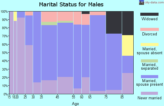 Enosburg Falls marital status for males