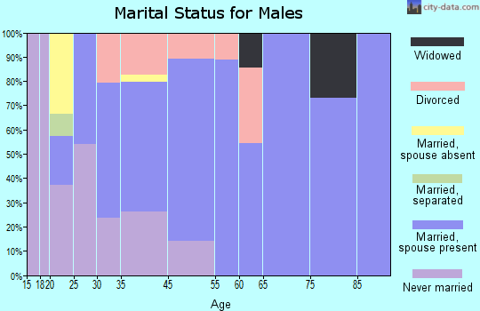 Graniteville-East Barre marital status for males
