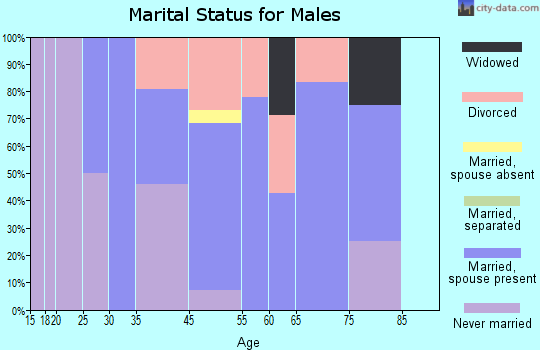 Hyde Park marital status for males