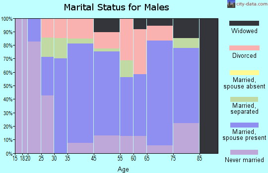 Island Pond marital status for males