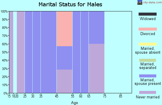 Perkinsville marital status for males
