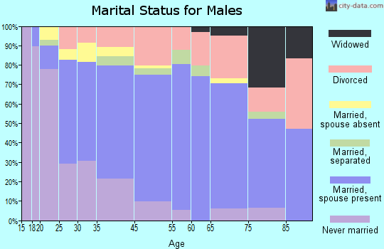 St. Johnsbury marital status for males