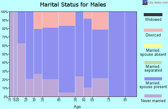 South Barre marital status for males