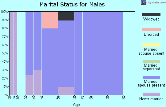 South Shaftsbury marital status for males