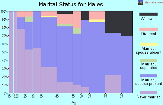 Springfield marital status for males
