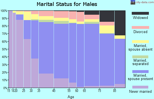 Annandale marital status for males