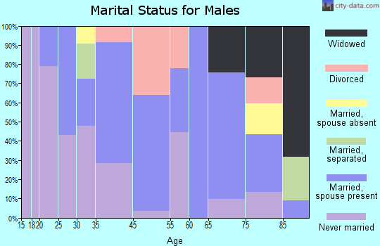 Appomattox marital status for males