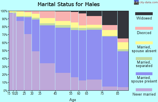 Arlington marital status for males