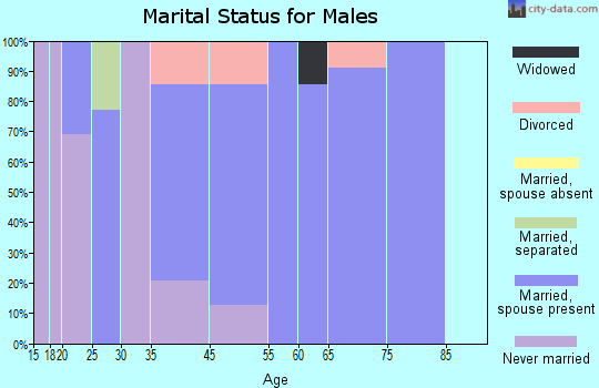 Basye-Bryce Mountain marital status for males