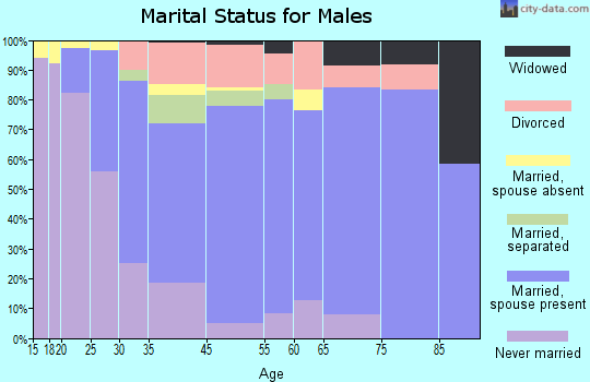 Bellwood marital status for males