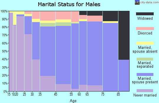 Blacksburg marital status for males