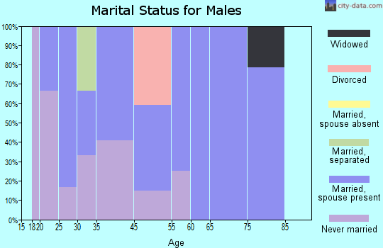 Boones Mill marital status for males