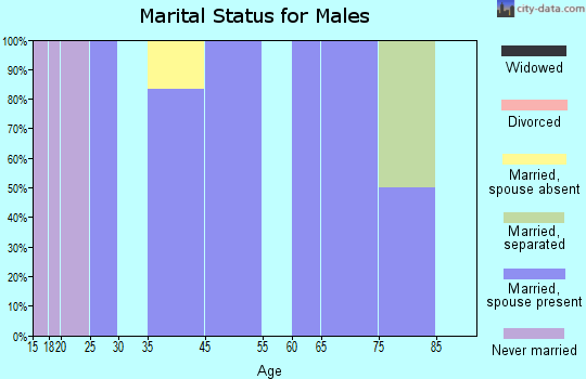 Branchville marital status for males
