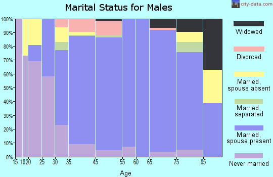 Bridgewater marital status for males